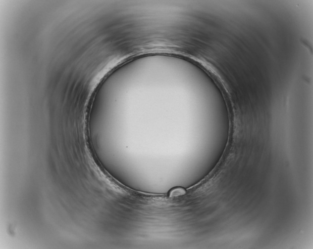 X0000100871333200807071053