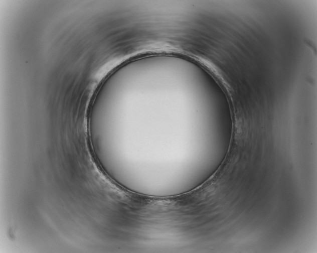 X0000100871335200807071053