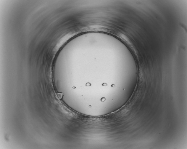 X0000100871336200807071053