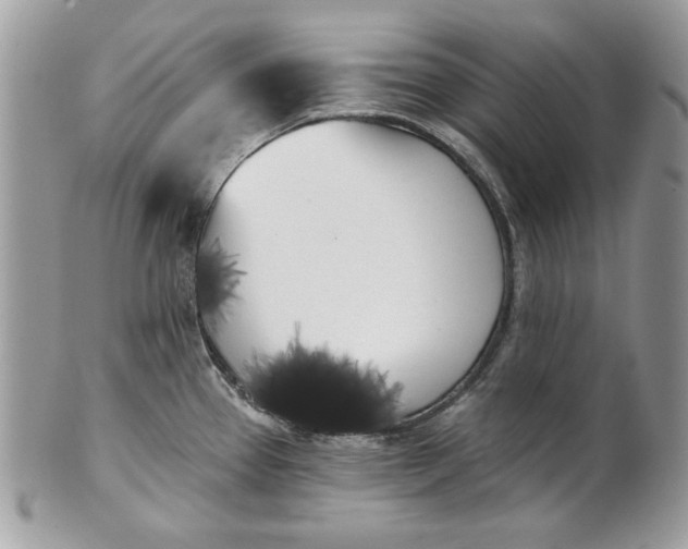 X0000100871337200807071053