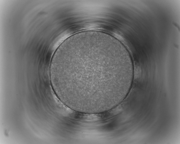 X0000100871338200807071053