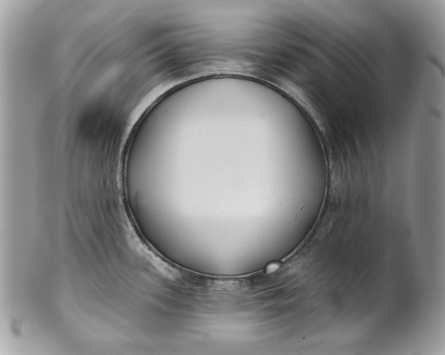 X0000100871339200807071053