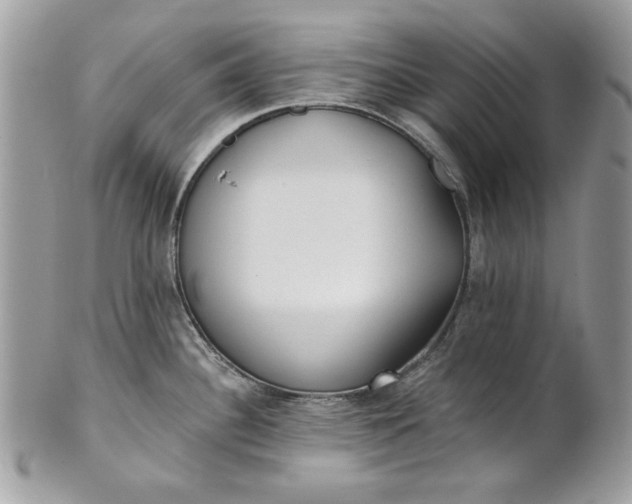 X0000100871340200807071053