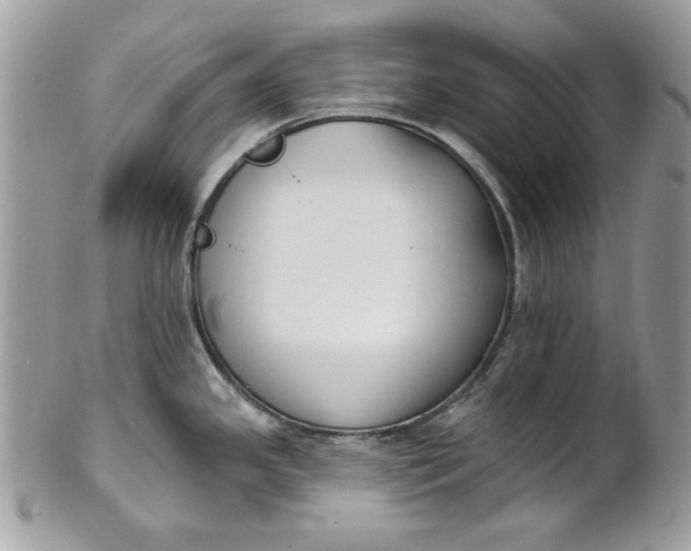 X0000100871341200807071053