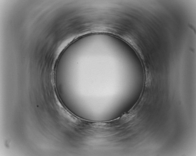 X0000100871342200807071053