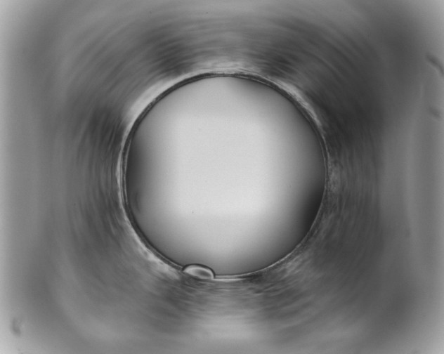 X0000100871343200807071053