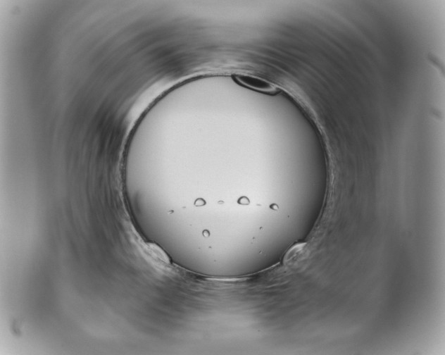 X0000100871344200807071053