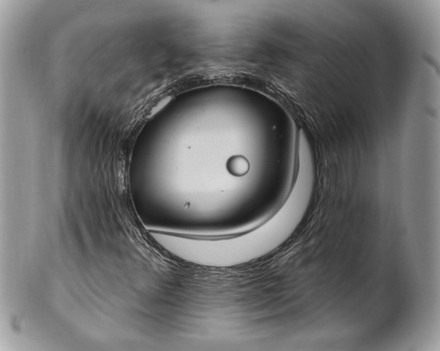 X0000100871348200807071052