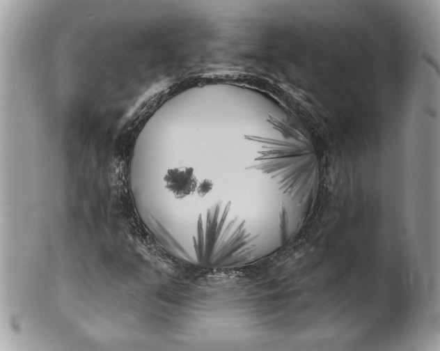 X0000100871351200807071052