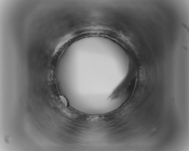 X0000100871352200807071052