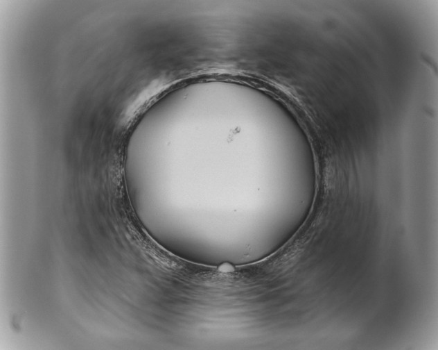 X0000100871359200807071052