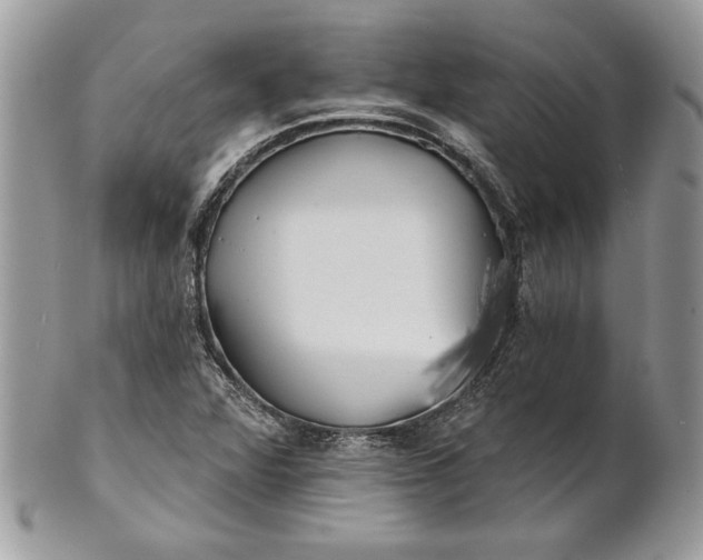 X0000100871360200807071052