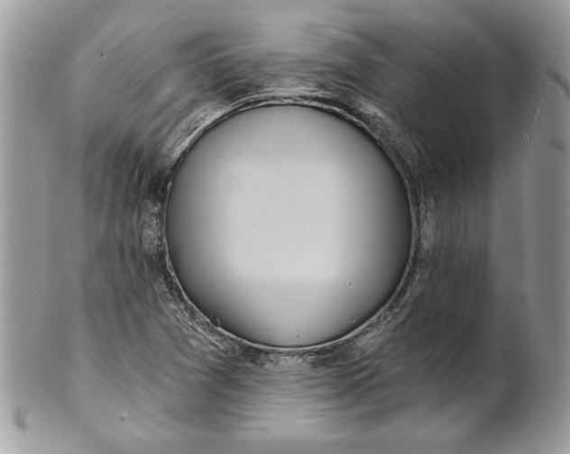 X0000100871361200807071052