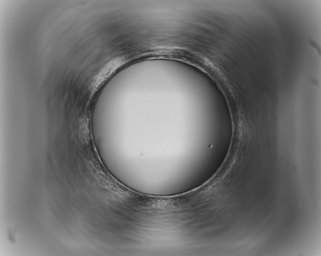 X0000100871362200807071052