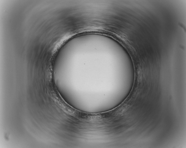 X0000100871363200807071052