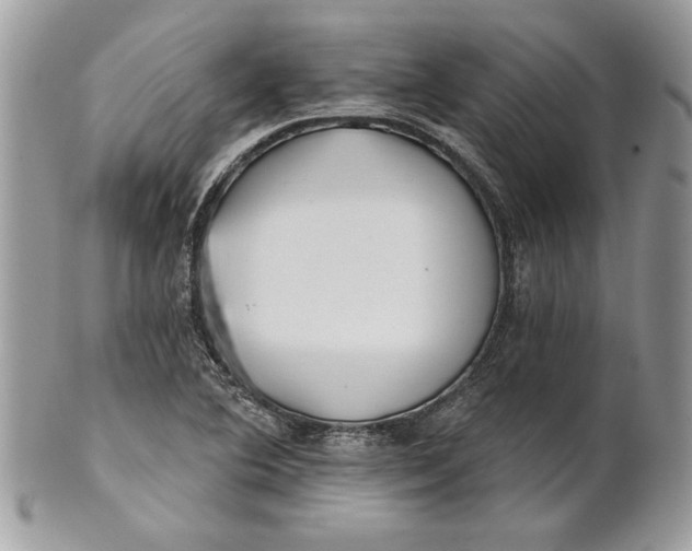 X0000100871364200807071052