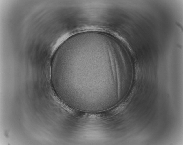 X0000100871365200807071052