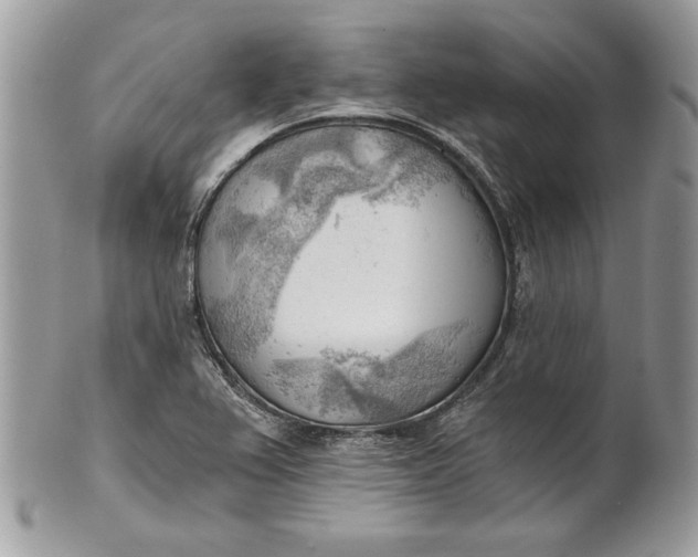 X0000100871367200807071052