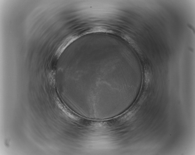 X0000100871369200807071052