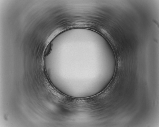 X0000100871370200807071052