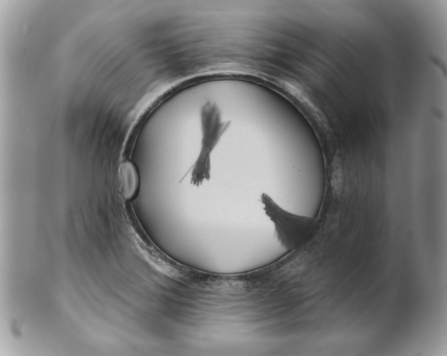 X0000100871372200807071052