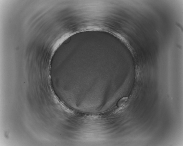 X0000100871373200807071052