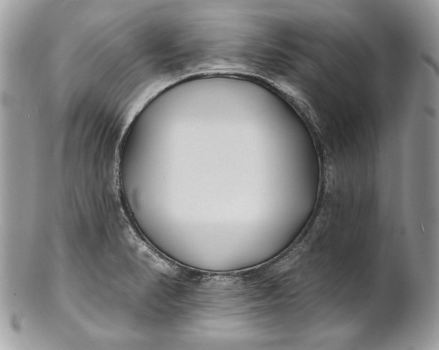 X0000100871374200807071052