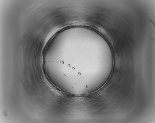 X0000100871376200807071052