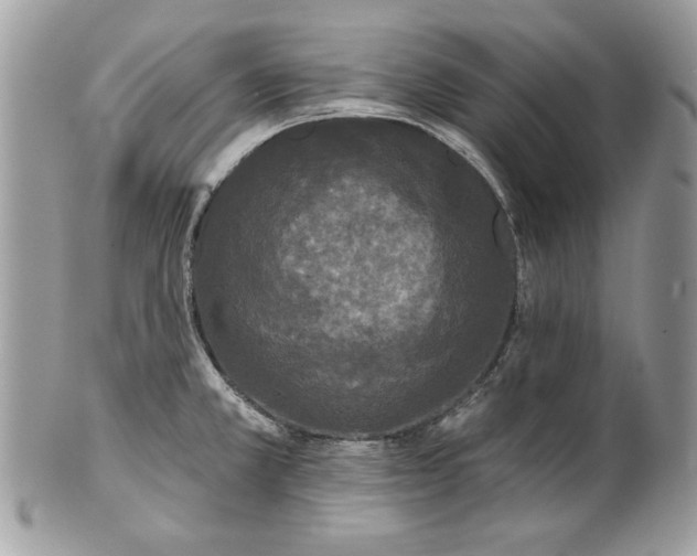 X0000100871381200807071052