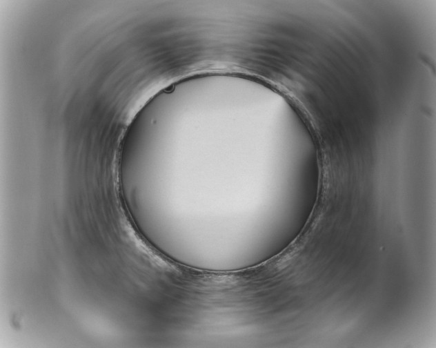 X0000100871382200807071052