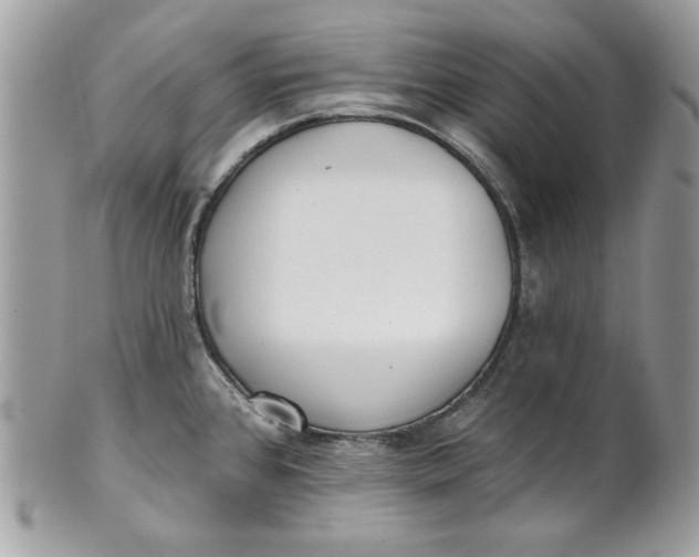 X0000100871384200807071052