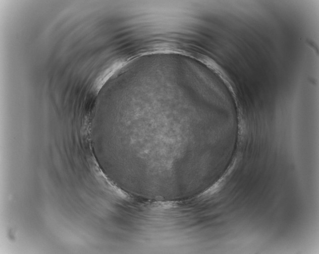 X0000100871385200807071052