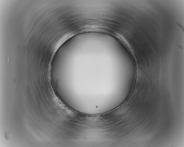 X0000100871386200807071052