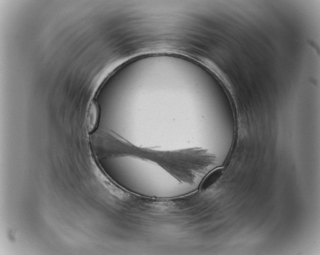 X0000100871388200807071052