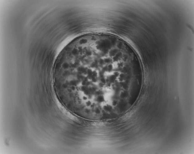 X0000100871389200807071052