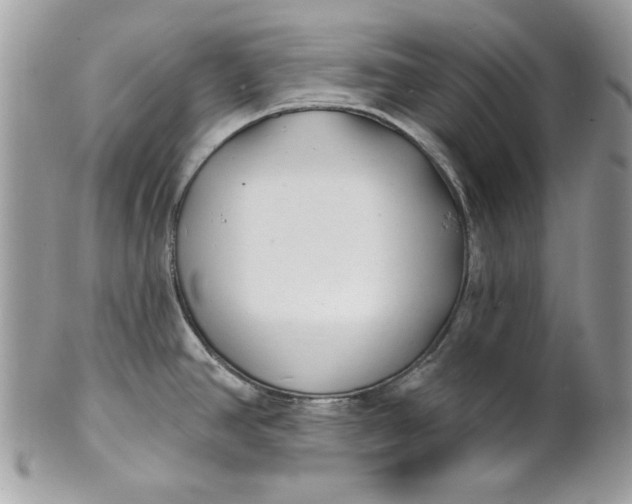 X0000100871390200807071052