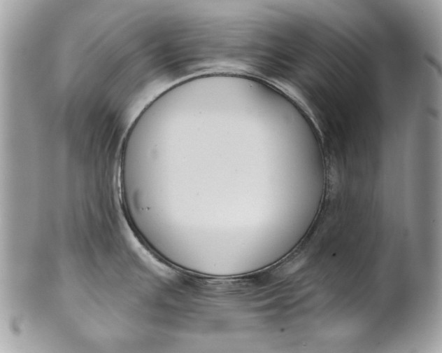 X0000100871391200807071052