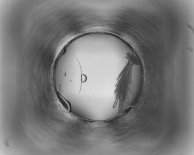 X0000100871392200807071052