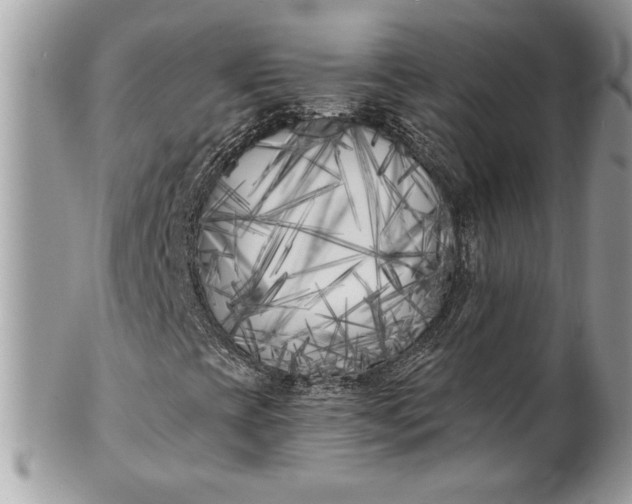 X0000100871393200807071051