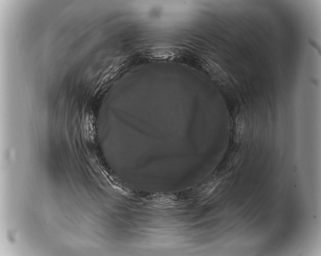 X0000100871394200807071051