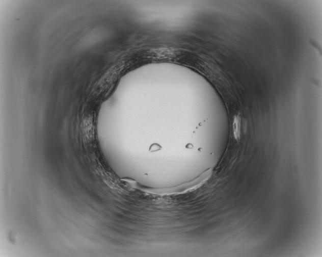 X0000100871395200807071051