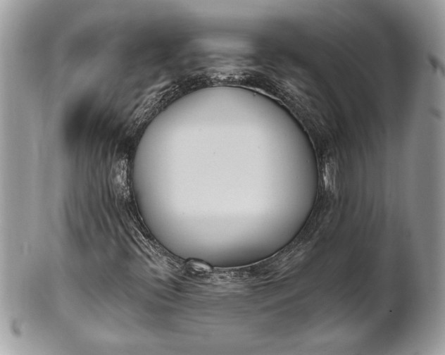 X0000100871396200807071051