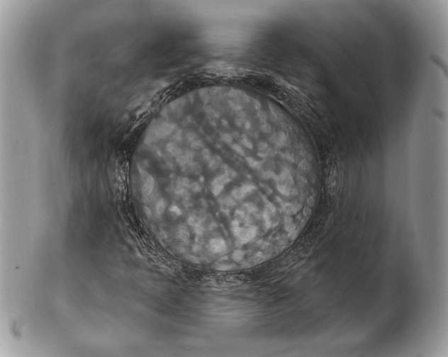 X0000100871397200807071051