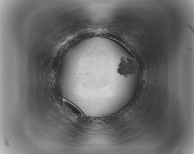 X0000100871398200807071051