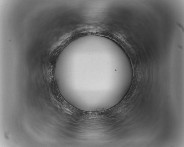 X0000100871399200807071051