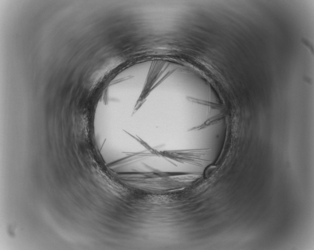 X0000100871402200807071051