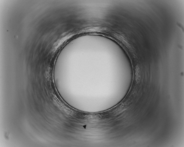 X0000100871404200807071051