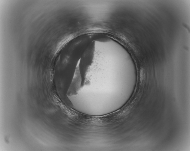 X0000100871405200807071051