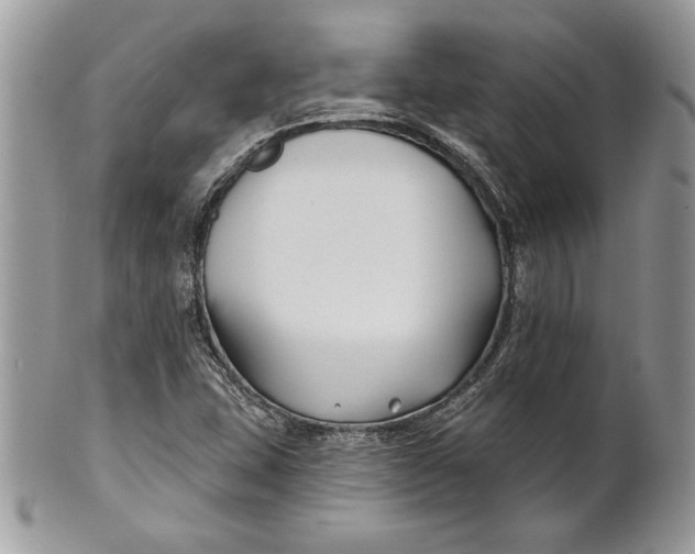 X0000100871407200807071051