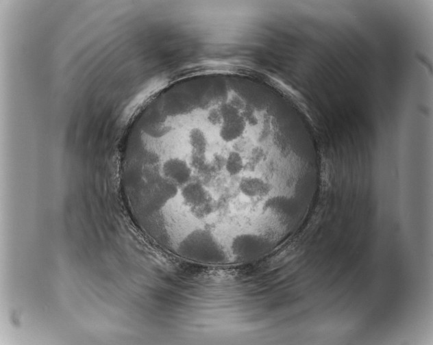 X0000100871411200807071051